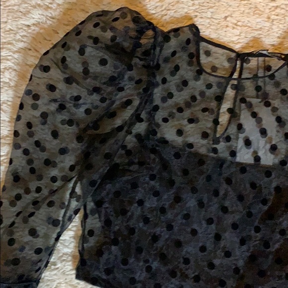zara black polka dot top